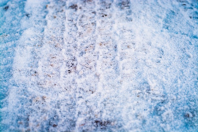 multi-tier tire shelving unit displaying eight winter tires with care supplies